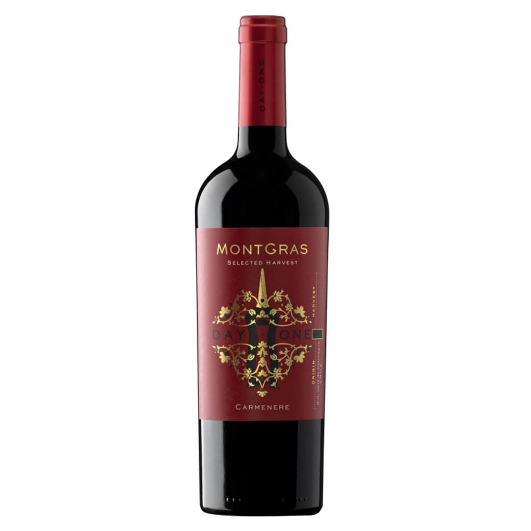 Vino Montgras Day One Carmenere 750cc_1