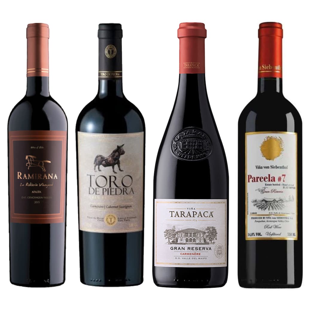 CYBER WINE PACK Nº6: 1x Vino Ramirana La Roblería 750cc + 1x Vino Toro de Piedra Carmenere / Cabernet Sauvignon 750cc + 1x Vino Tarapacá Gran Reserva Carmenere 750cc + 1x Vino Von Siebenthal Parcela 7 Gran Reserva 750cc_1