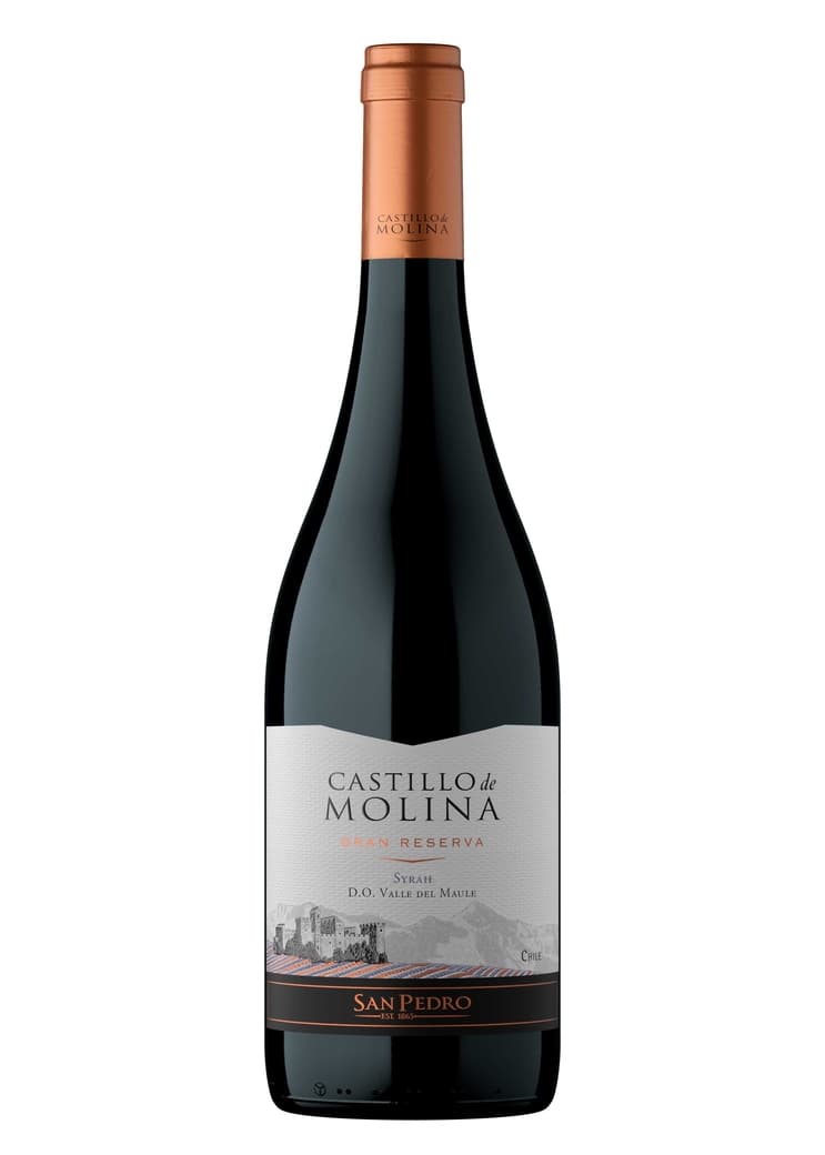 Vino Castillo de Molina Syrah 750cc_1