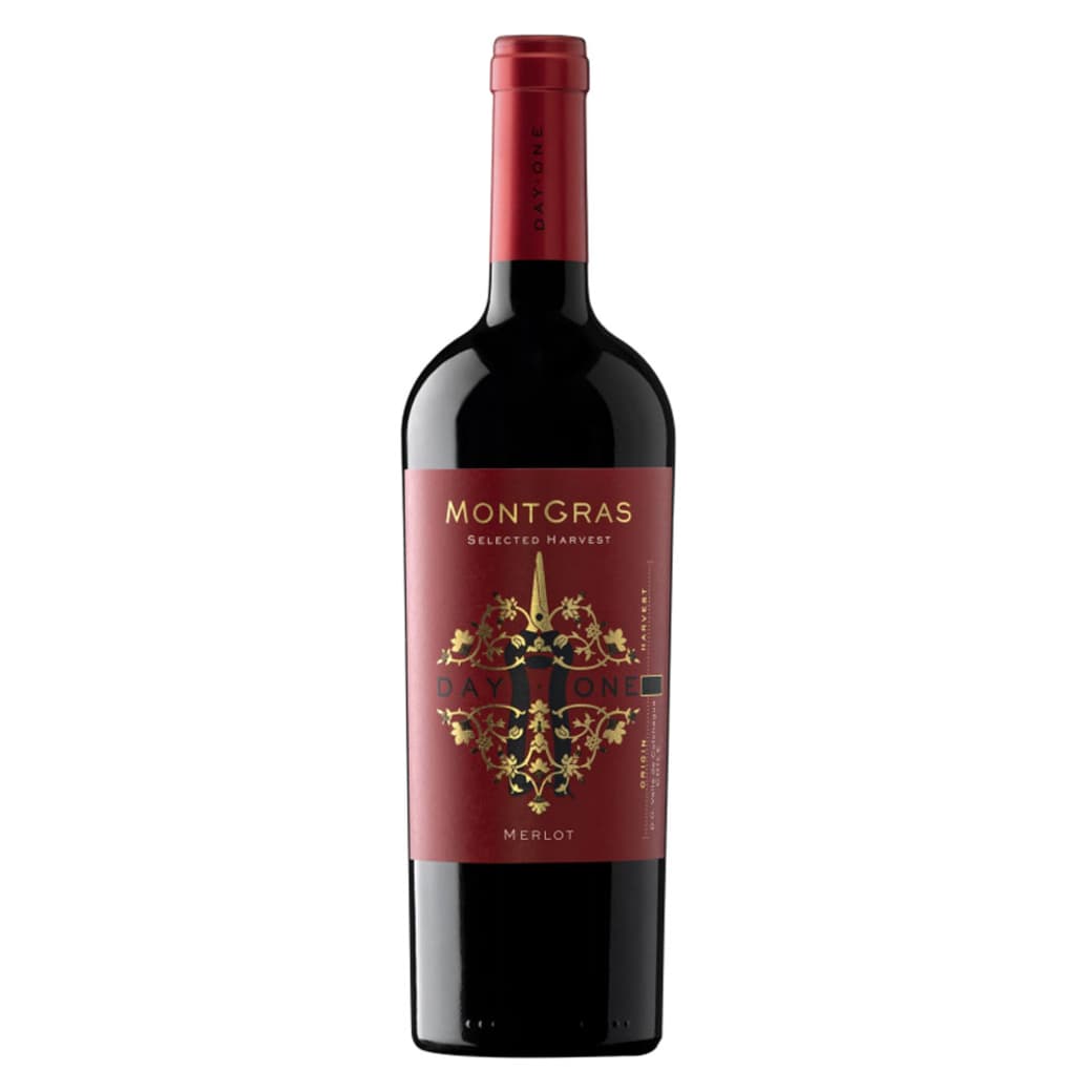 Vino Montgras Day One Merlot 750cc_1