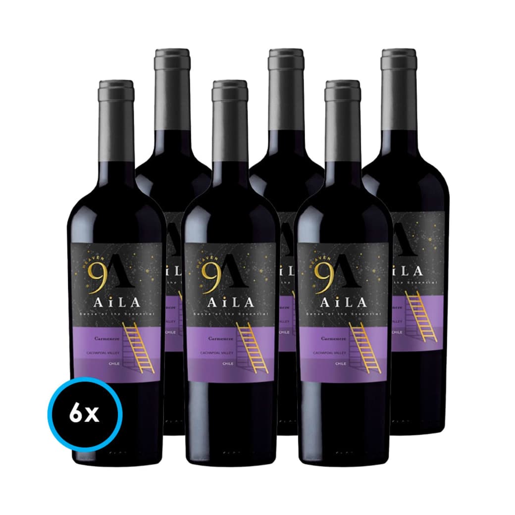 CAJA AILA HEAVEN GR (Carmenere): 6x Vino Aila Heaven Gran Reserva Carmenere 750cc_1
