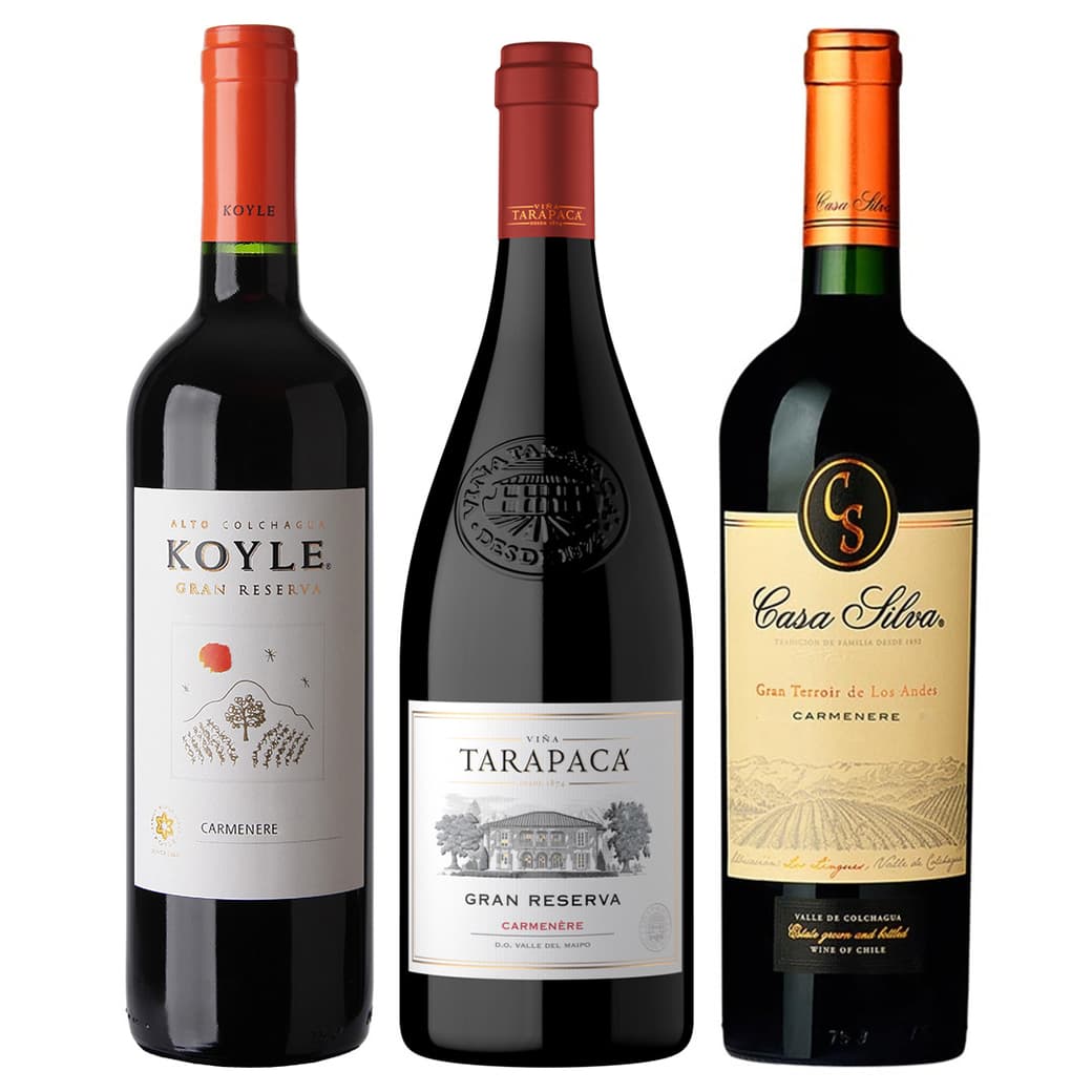 GRAN TRIO N°9: 1x Vino Koyle Gran Reserva Carmenere 750cc + 1x Vino Tarapacá Gran Reserva Carmenere 750cc + 1x Vino Casa Silva Gran Terroir Carmenere 750cc_1