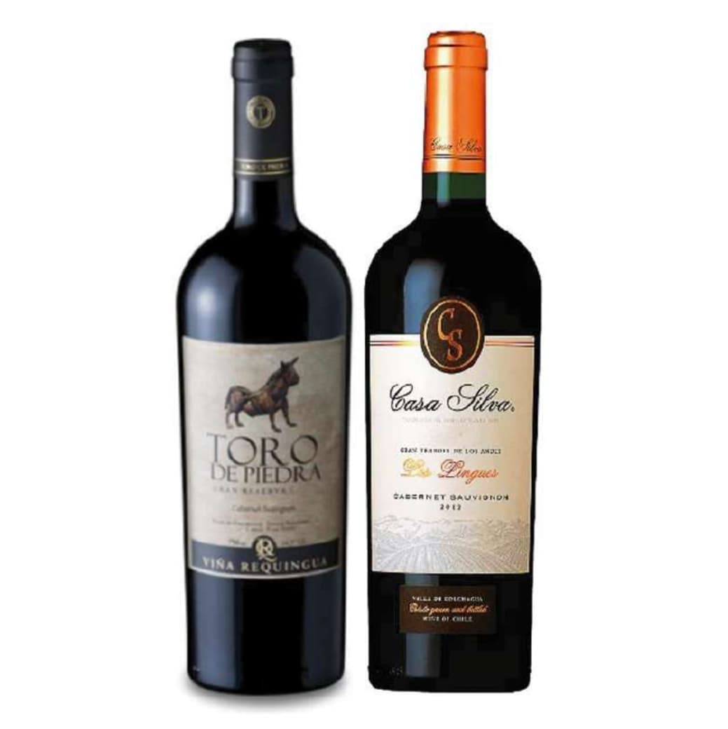 PACK DUO VINOS Nº2: Vino Toro de Piedra Cabernet 750cc + Vino Casa Silva Gran Terroir Cabernet 750cc_1