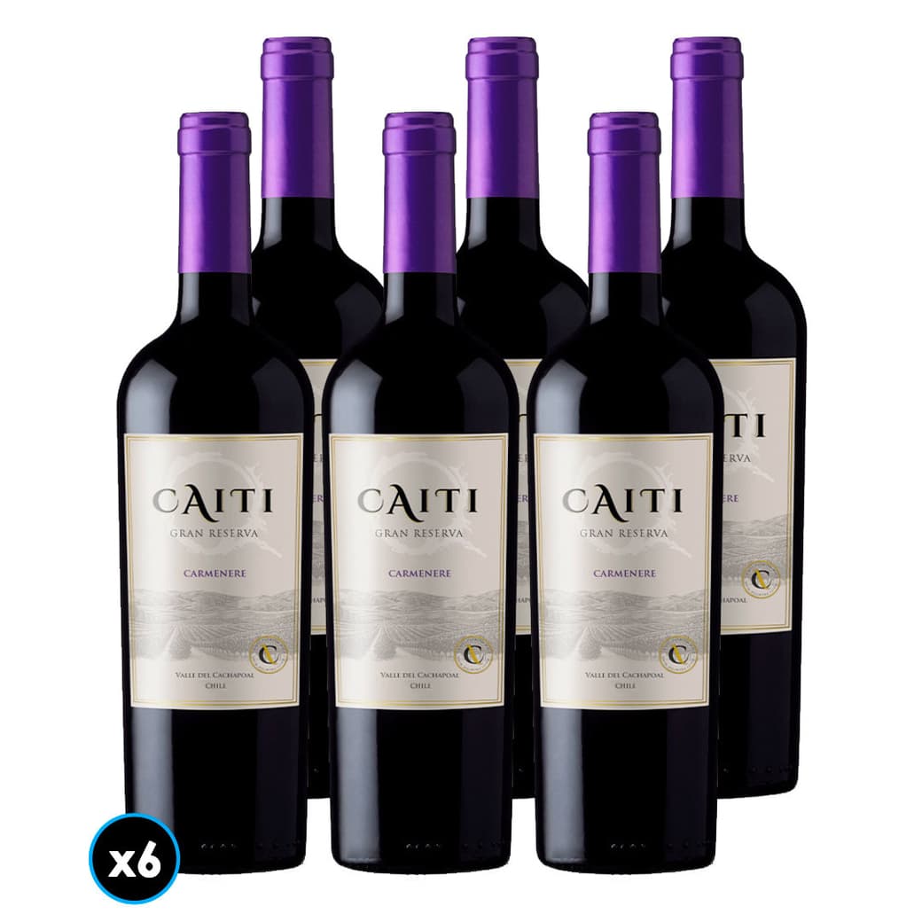 CAJA CAITI GR (Carmenere): 6x Vino Caiti Gran Reserva Carmenere 750cc_1