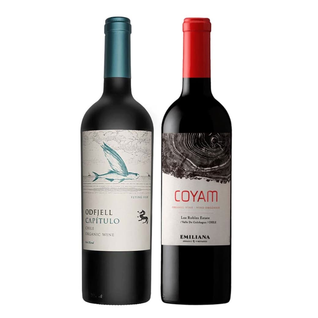 DUO COYAM - FLYING FISH: 1x Vino Orgánico COYAM 750cc + 1x Vino Odfjell Gran Reserva Capítulo Flying Fish 750cc_1