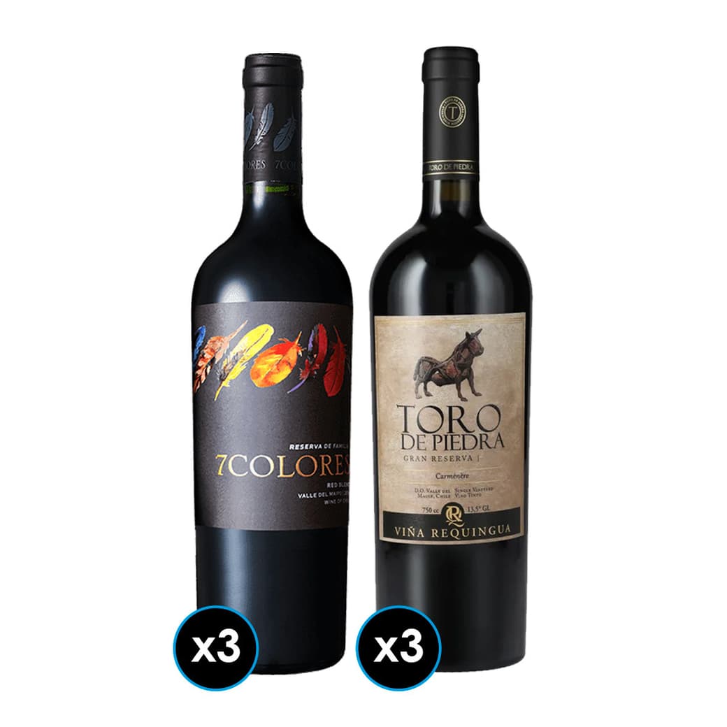 PACK GRAN DUPLA: 3x Vino Toro de Piedra Carmenere 750cc + 3x Vino 7 Colores Single Vineyard Red Blend 750cc_1