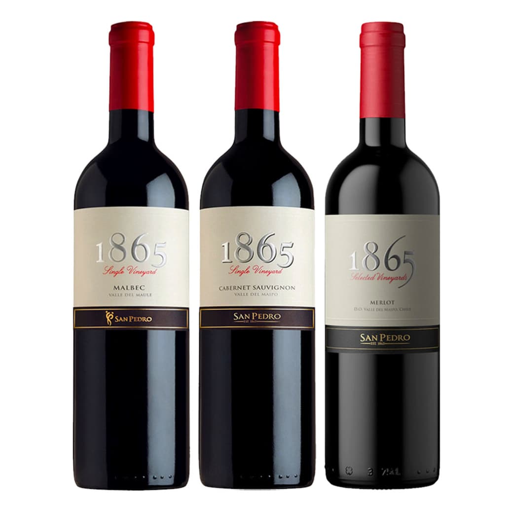 PACK 1865: 1x Vino 1865 Single Vineyard Malbec 750cc + 1x Vino 1865 Single Vineyard Cabernet Sauvignon 750cc + 1x Vino 1865 Single Vineyard Merlot 750cc_1