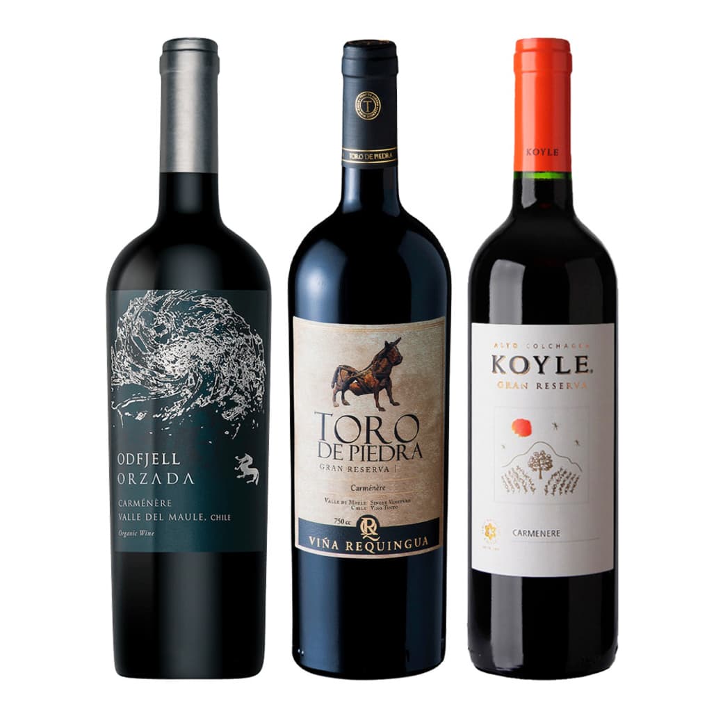 GRAN TRIO CARMENERE: 1x Vino Toro de Piedra Carmenere 750cc + 1x Vino Odfjell Orzada Carmenere 750cc + 1x Vino Koyle Gran Reserva Carmenere 750cc_1