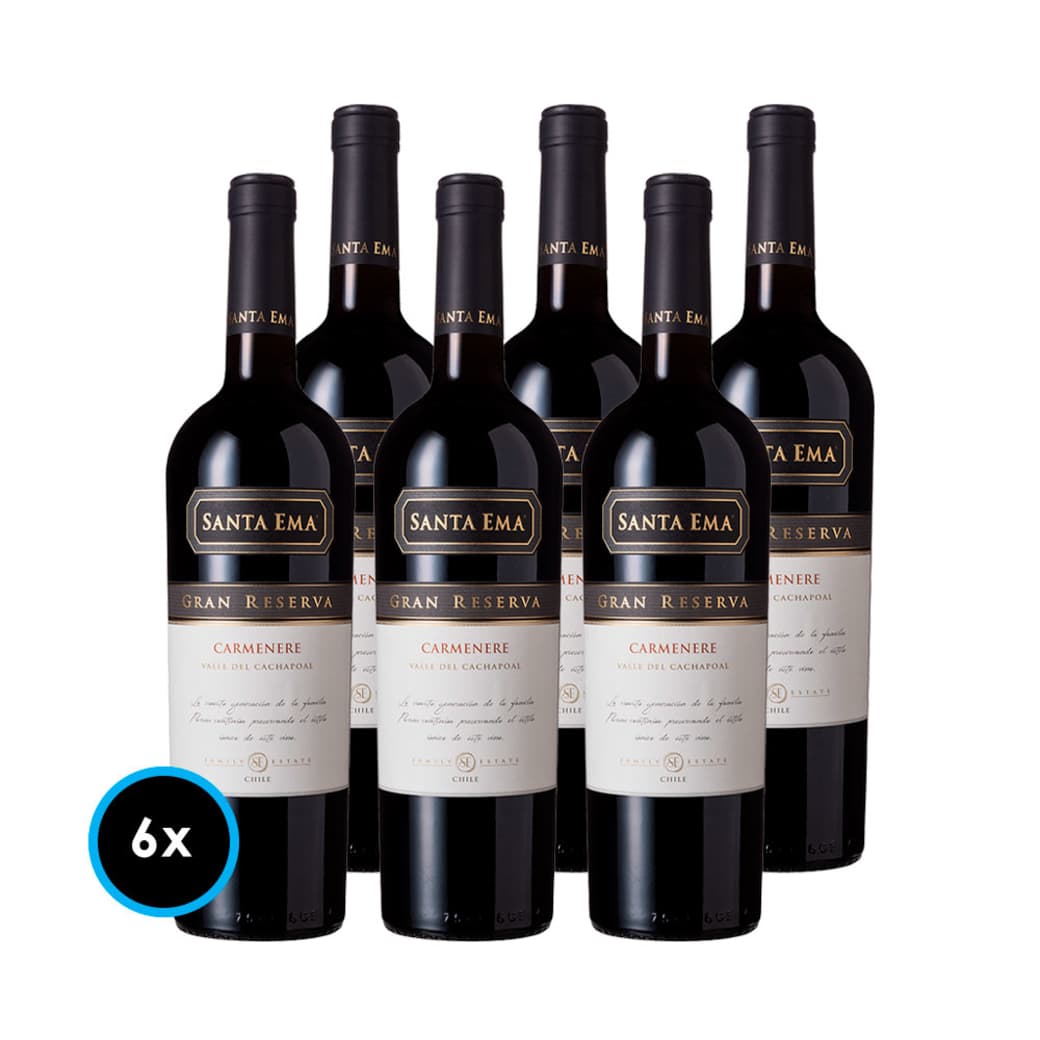 CAJA SANTA EMA GR (Carmenere): 6x Vinos Santa Ema Gran Reserva Carmenere 750cc_1