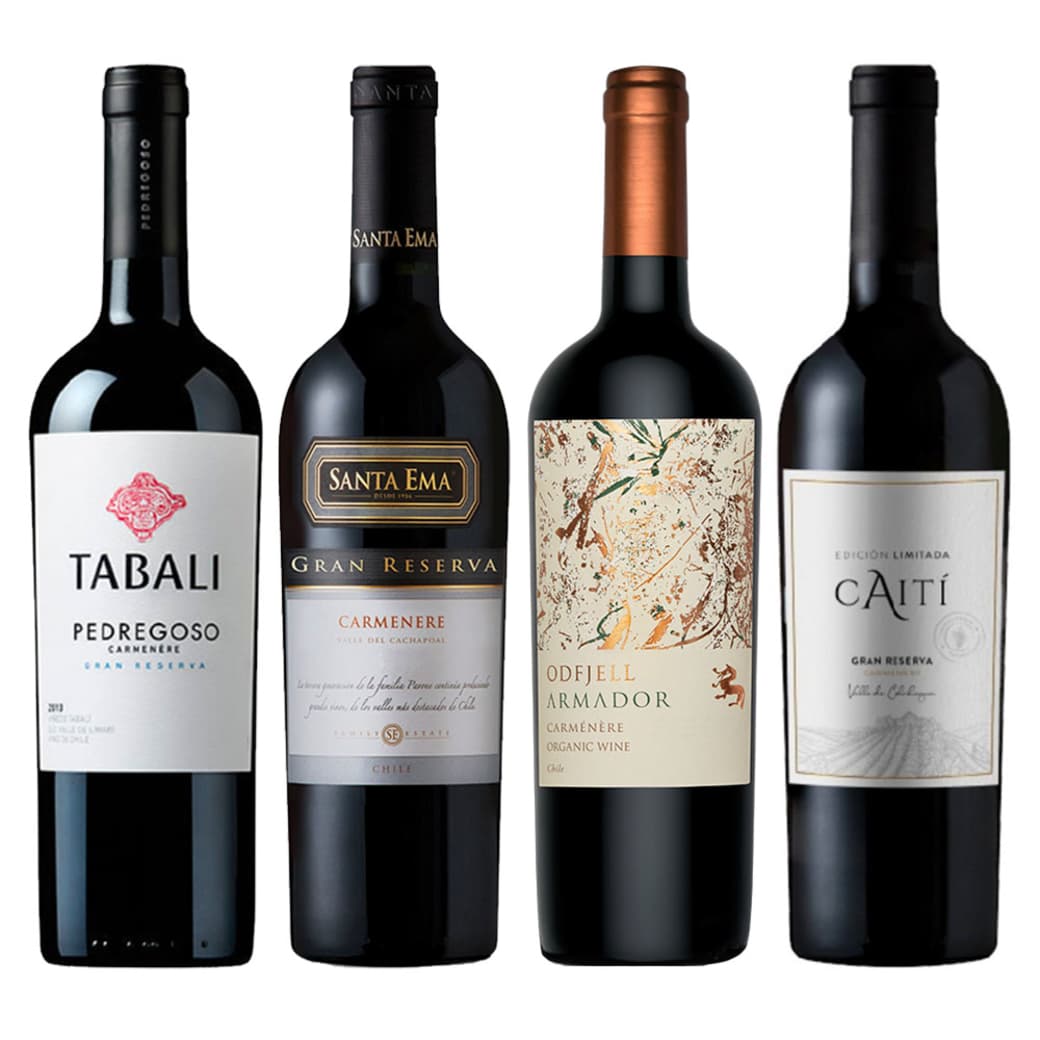 PACK CUARTETO CARMENERE: 1x Vino Tabali Pedregoso Gran Reserva Carmenere 750cc + 1x Vino Santa Ema Gran Reserva Carmenere 750cc + 1x Vino Odfjell Armador Carmenere 750cc + 1x Vino Caiti Gran Reserva Carmenere 750cc_1