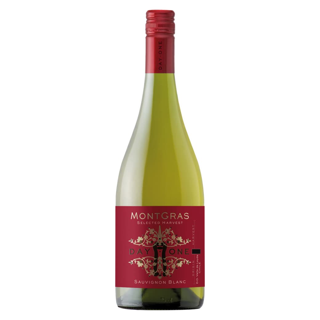 Vino Montgras Day One Sauvignon Blanc 750cc_1