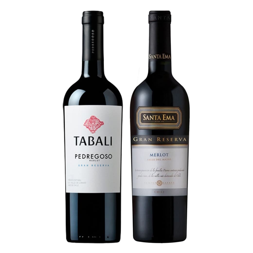 DUO TABALI - SANTA EMA (Merlot): 1x Vino Tabali Pedregoso Gran Reserva Merlot 750cc + 1x Vino Santa Ema Gran Reserva Merlot 750cc_1