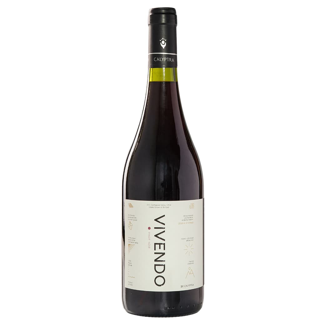 Vino Calyptra Vivendo Pinot Noir 750cc_1