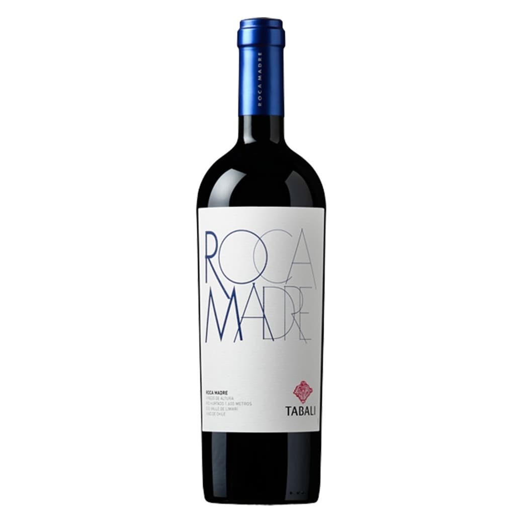 Vino Tabalí Roca Madre Malbec 750cc_1