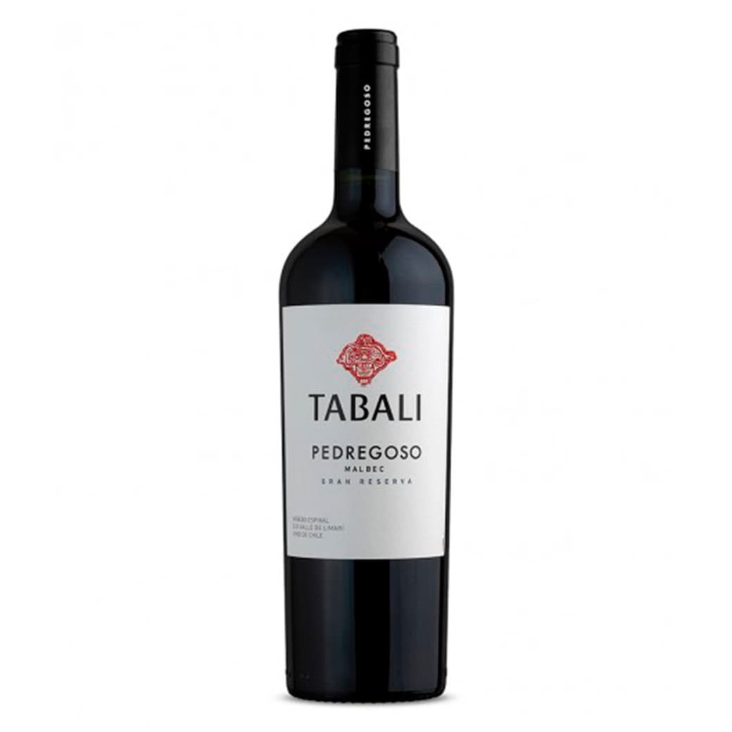 Vino Tabali Pedregoso Malbec 750cc_1