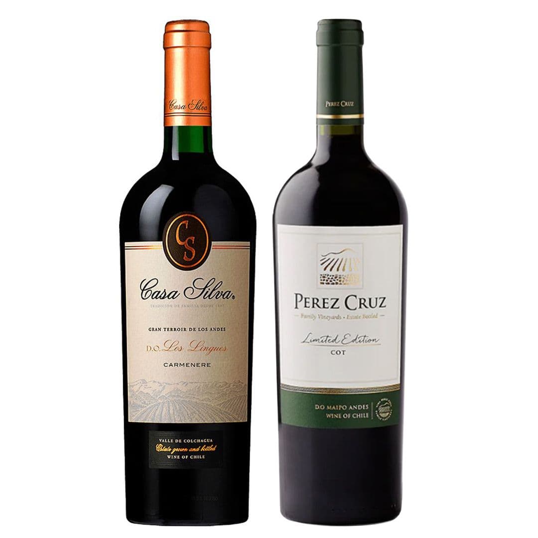DUO PEREZ CRUZ - CASA SILVA: 1x Vino Perez Cruz Limited Edition Gran Reserva Carmenere 750cc + 1x Vino Casa Silva Gran Terroir Carmenere 750cc_1