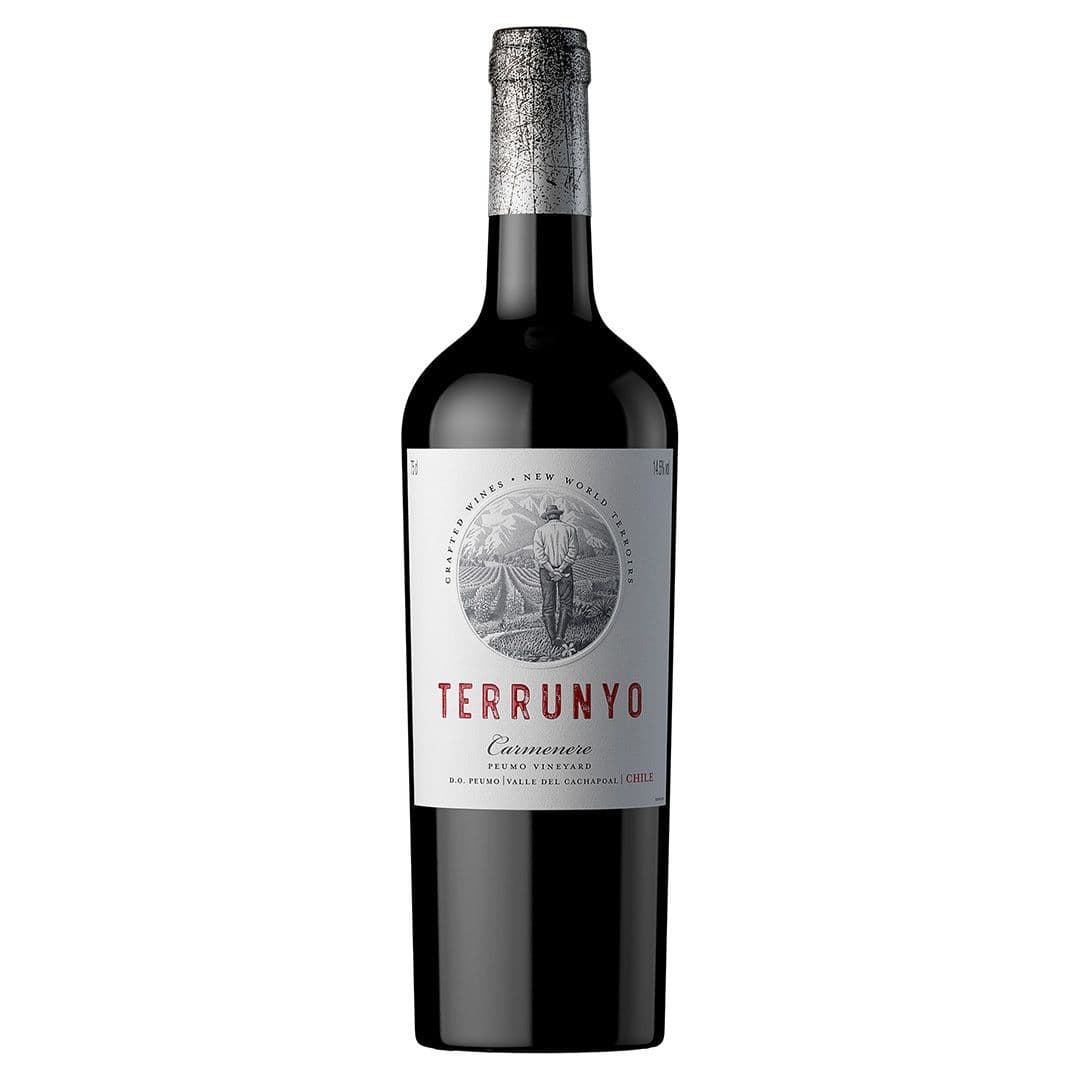 Vino Terrunyo Carmenere 750cc_1