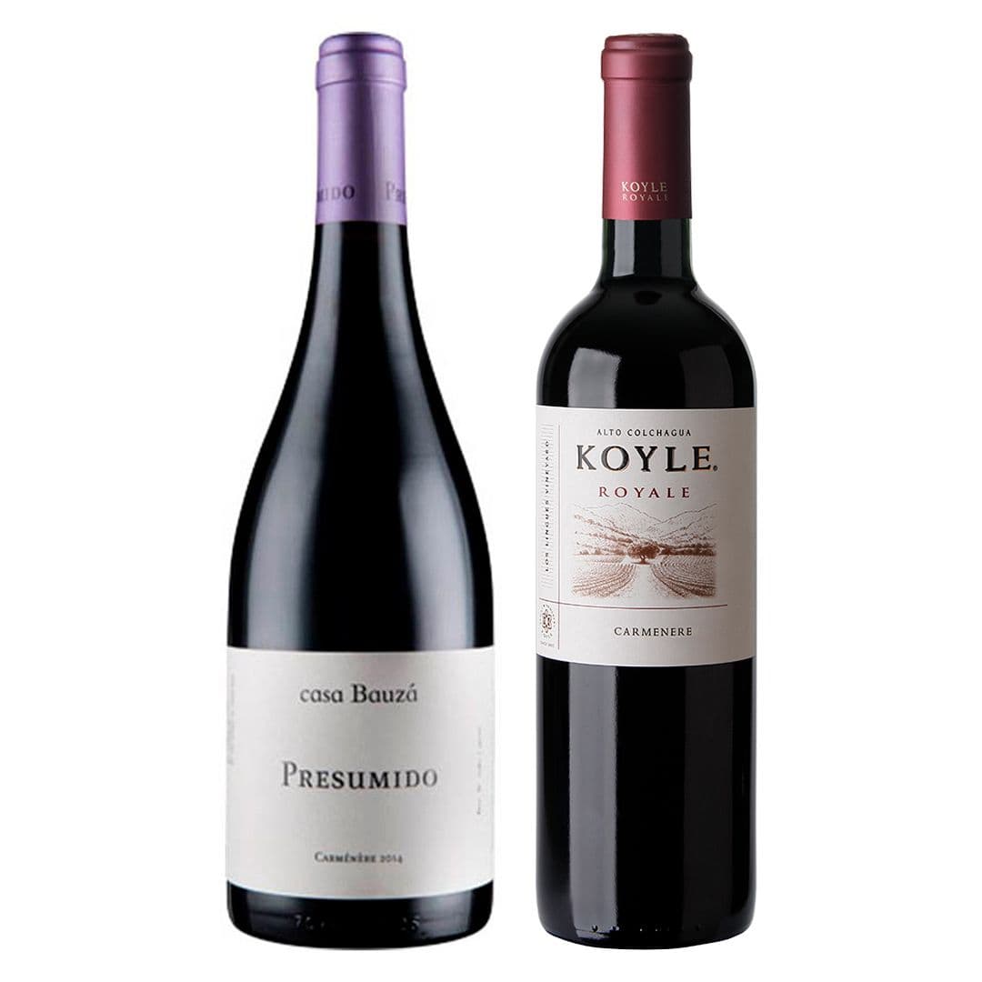DUO CARMENERE PREMIUM: 1x Vino Casa Bauzá Presumido Carmenere 750cc + 1x Vino Koyle Royale Carmenere 750cc_1