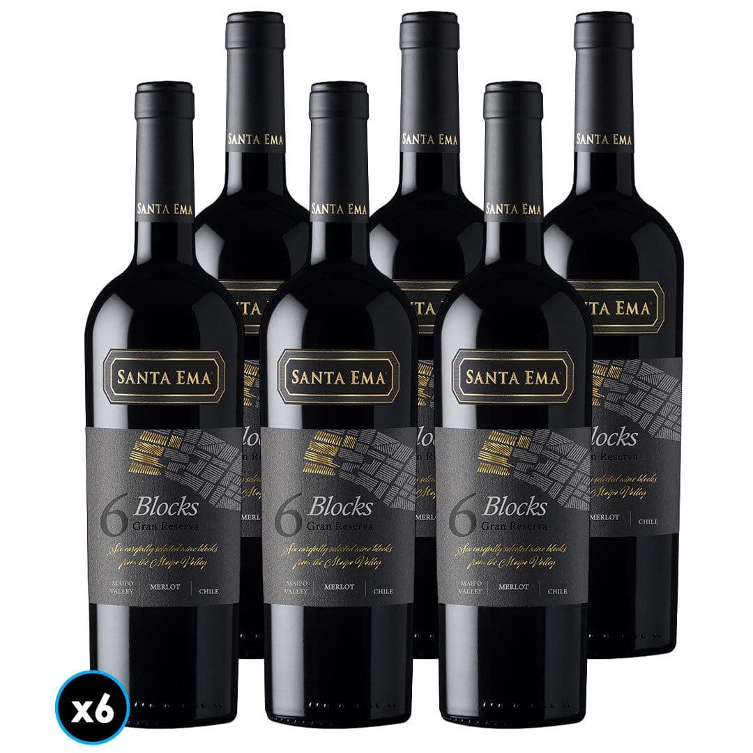 CAJA SANTA EMA 6 BLOCKS GR (Merlot): 6x Vino Santa Ema 6 Blocks Gran Reserva Merlot 750cc_1