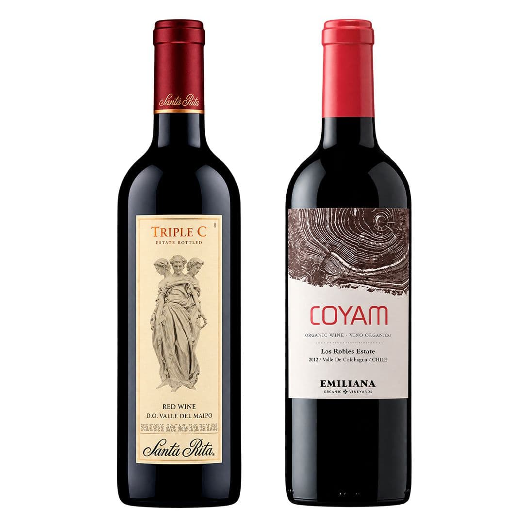 DUO COYAM - TRIPLE C: 1x Vino Orgánico COYAM 750cc + 1x Vino Triple C 750cc_1
