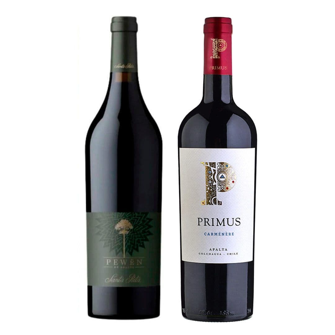 DUO PEWEN - PRIMUS: 1x Vino Pewen Carmenere 750cc + 1x Vino Primus Carmenere Orgánico 750cc_1