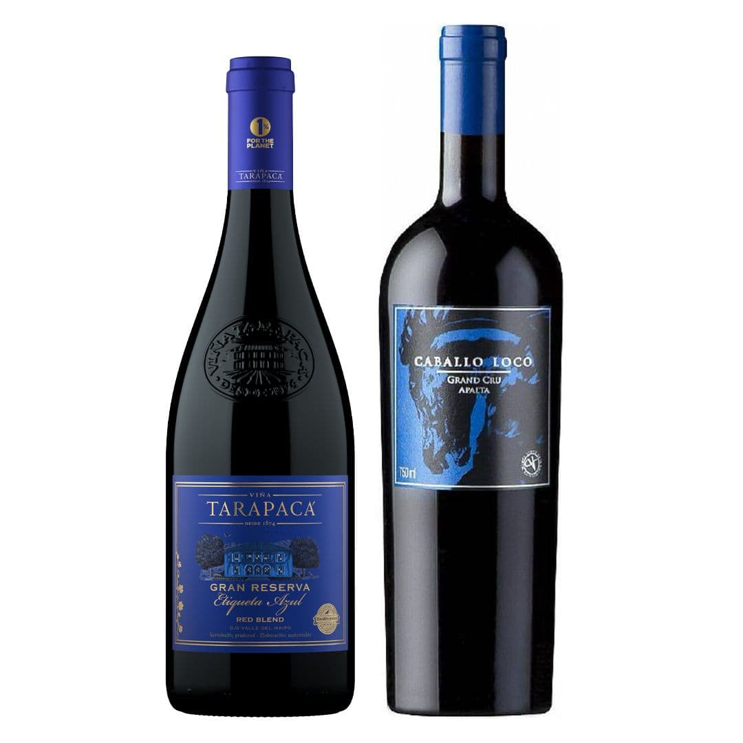 DUO TARAPACÁ - CABALLO LOCO: 1x Vino Tarapacá Premium Etiqueta Azul Blend 750cc + 1x Vino Caballo Loco Grand Cru Apalta 750cc_1