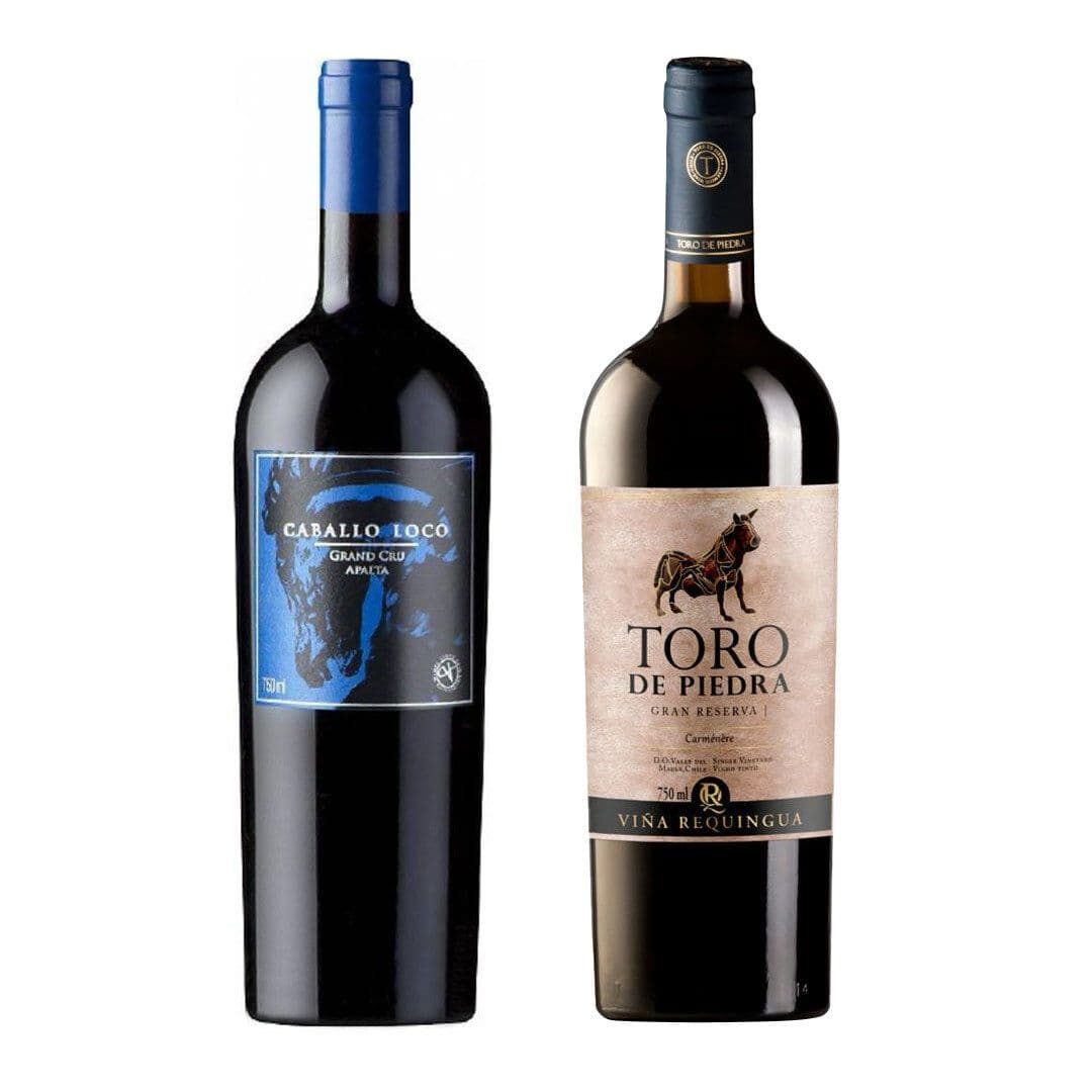 PACK NOBLEZA CHILENA: 1x Vino Toro de Piedra Gran Reserva Carmenere 750cc + 1x Vino Caballo Loco Grand Cru Apalta 750cc_1