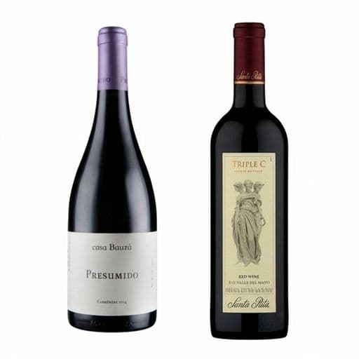 DÚO TRIPLE C - PRESUMIDO: 1x Vino Triple C 750cc + 1x Vino Casa Bauzá Presumido Carmenere 750cc_1