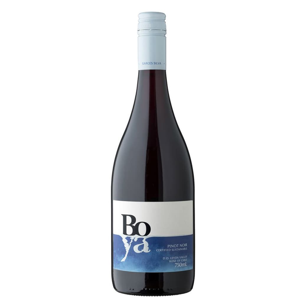 Vino Garcés Silva Boya Pinot Noir 750cc_1