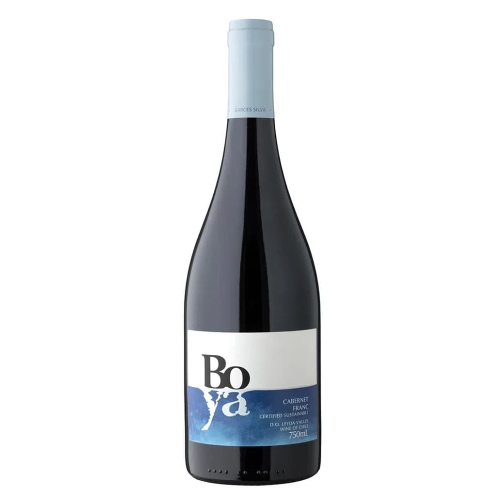 Vino Garcés Silva Boya Cabernet Franc 750cc_1