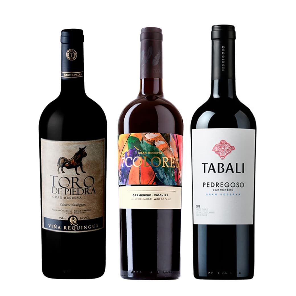 TRIFECTA BOOZ: 1x Vino Toro de Piedra Cabernet Sauvignon 750cc + 1x Vino 7 Colores Gran Reserva Carmenere 750cc + 1x Vino Tabali Pedregoso Gran Reserva Carmenere 750cc_1