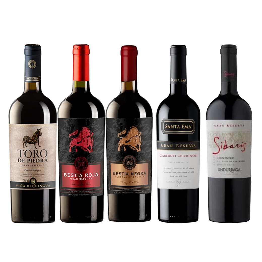 PACK VINOS GRAN RESERVA Nº4: Toro de Piedra Cabernet Sauvignon 750cc + Bestia Roja Cabernet Sauvignon 750cc + Bestia Negra Carmenere 750cc + Santa Ema Gran Reserva Cabernet Sauvignon 750cc + Undurraga Sibaris Carmenere 750cc_1