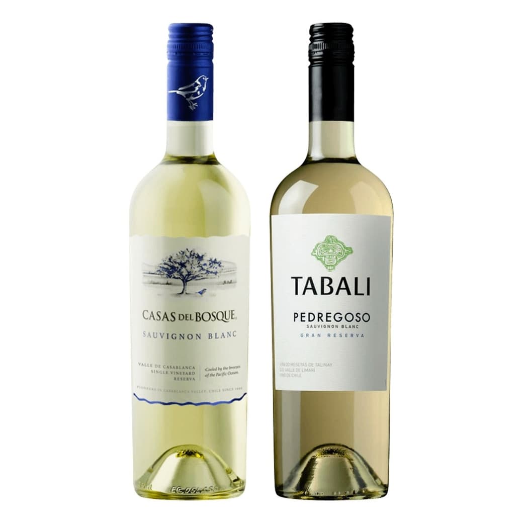 DUO VINOS BLANCOS CASAS DEL BOSQUE - TABALI: 1x Vino Casas del Bosque Reserva Sauvignon Blanc 750cc + 1x Vino Tabali Pedregoso Gran Reserva Sauvignon Blanc 750cc_1