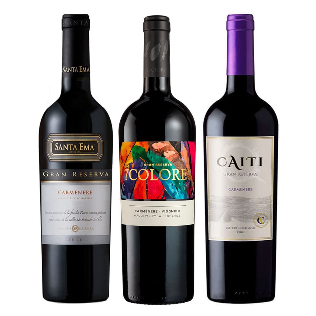 PACK TRIO CARMENERE GR: Vino 7 Colores GR Carmenere + Vino Caiti GR Carmenere + Vino Santa Ema GR Carmenere_1