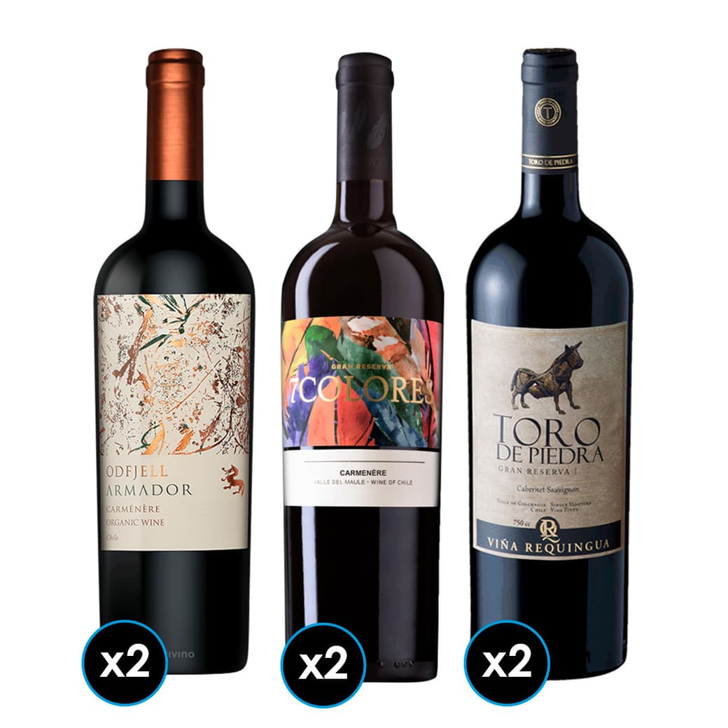 PACK DIECIOCHERO PREMIUM: 2x Vino Toro de Piedra Cabernet Sauvignon 750cc + 2x Vino 7 Colores Gran Carmenere 750cc + 2x Vino Odfjell Armador Carmenere 750cc_1