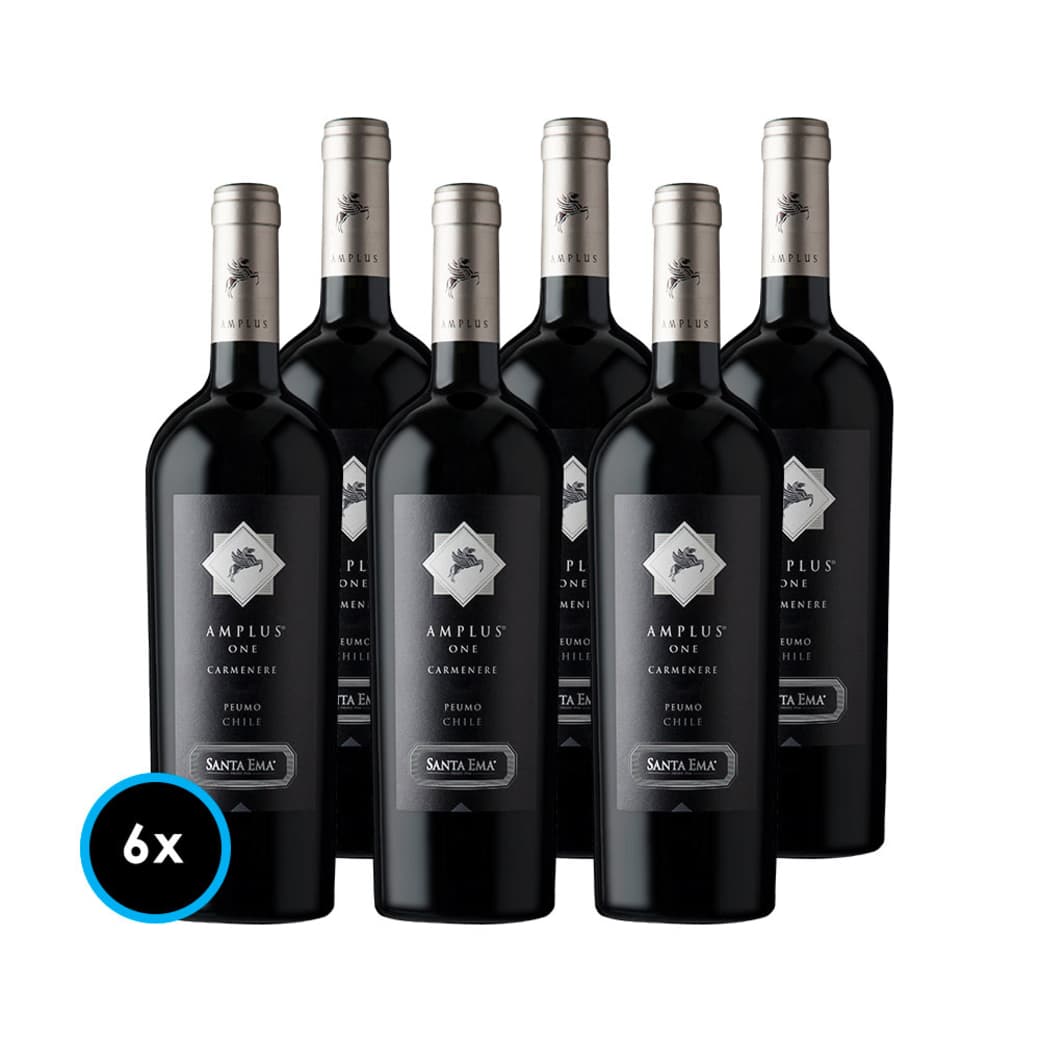 CAJA SANTA EMA AMPLUS (Carmenere): 6x Vinos Santa Ema Amplus Carmenere 750cc_1