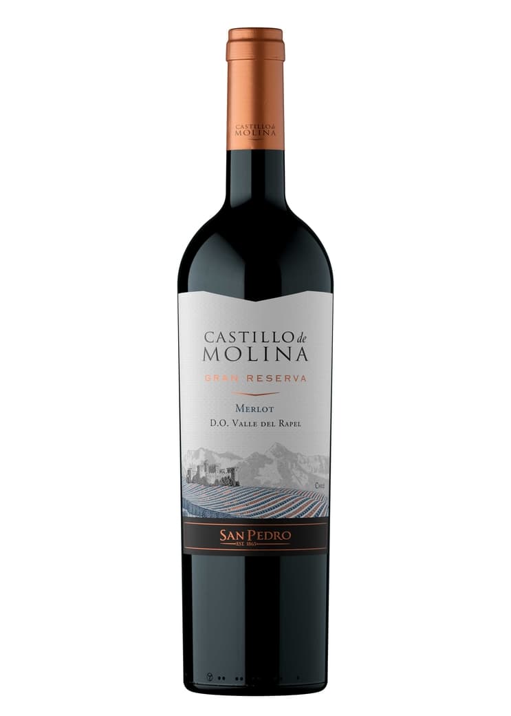 Vino Castillo de Molina Gran Reserva Merlot 750cc_1