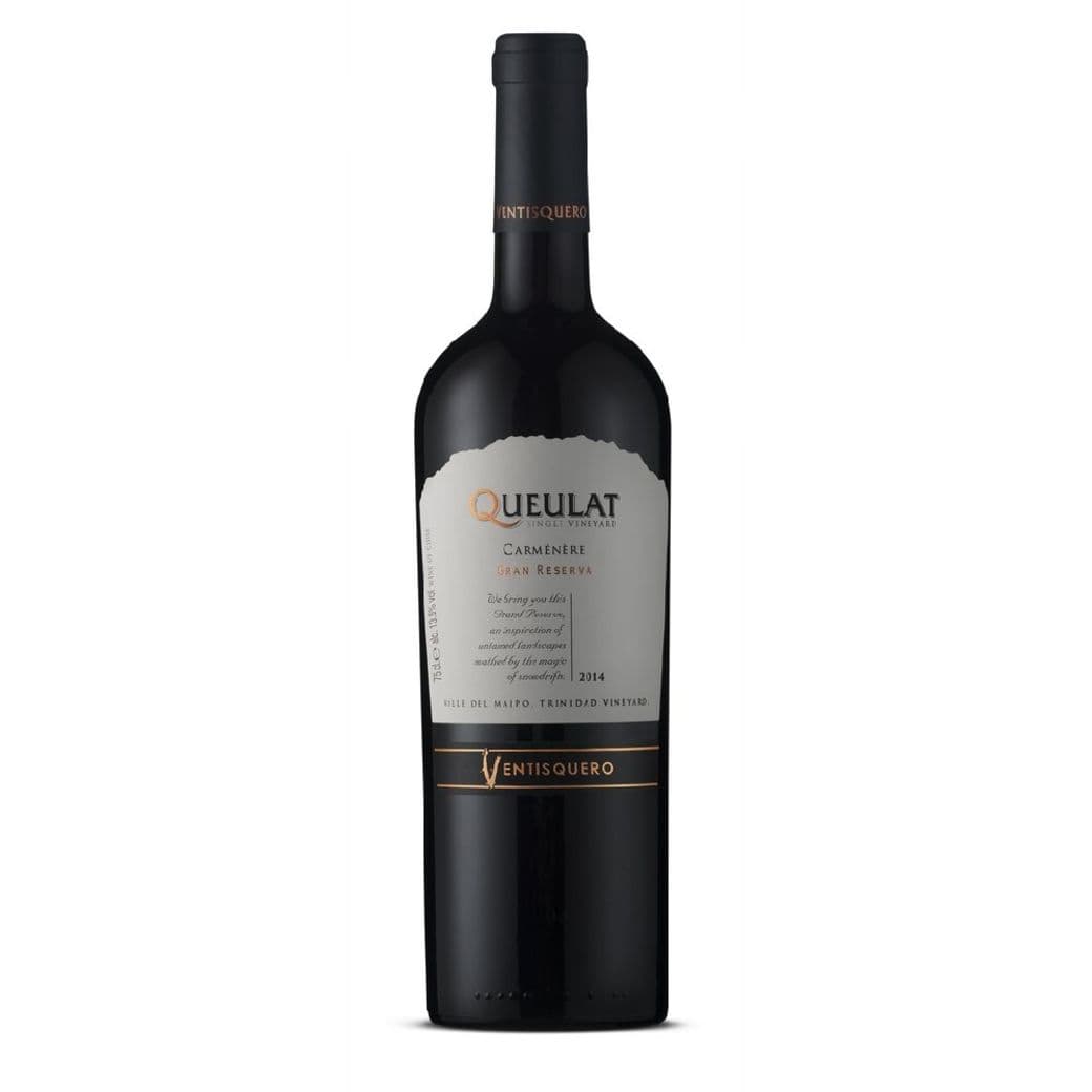 Vino Ventisquero Queulat Gran Reserva Carmenere 750cc_1